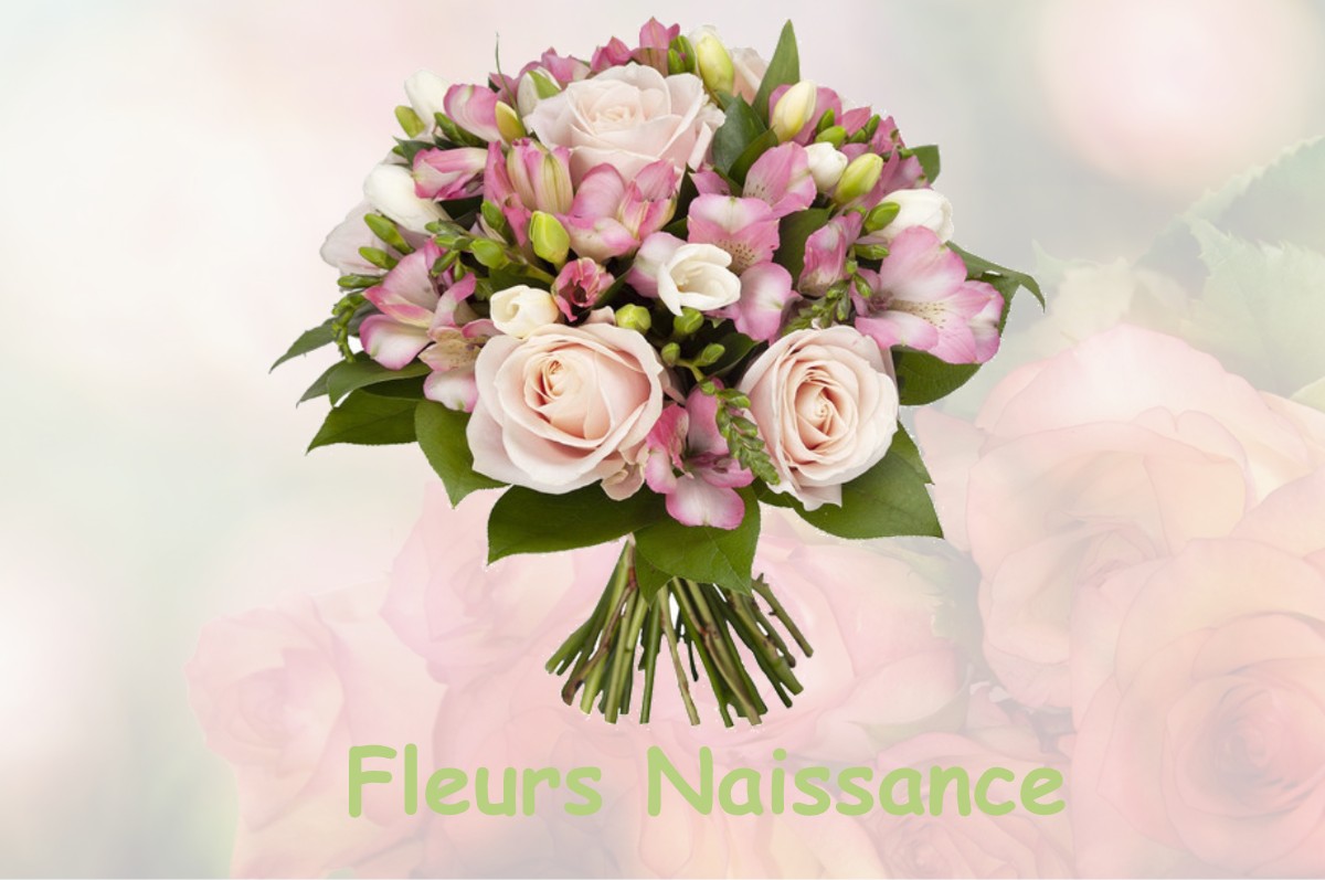 fleurs naissance SAINT-FLORENT-LE-VIEIL